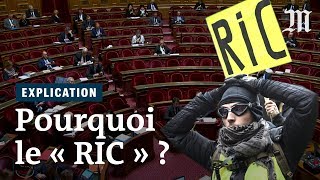 Gilets jaunes  le « RIC » estil une bonne idée [upl. by Enimaj]