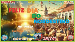 Dia 8 de outubro Dia do Nordestino 2024 [upl. by Okemak793]