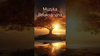 Muzyka Relaksacyjna do nauki i koncentracji 🍀 Fale alfa 🍀 432Hz [upl. by Philcox]