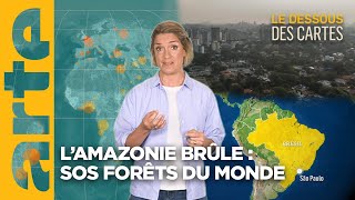 L’Amazonie brûle  sos forêts du monde  Lessentiel du Dessous des Cartes  ARTE [upl. by Eph992]