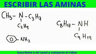 OCTIL NONIL AMINAFENIL AMINA  METIL ETILENO PROPIL AMINA [upl. by Aztiraj]