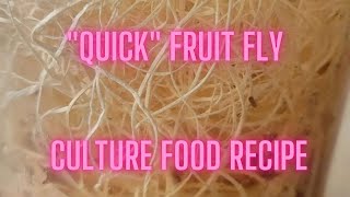 Quick Fruit Fly Culture Food Recipe [upl. by Garda]