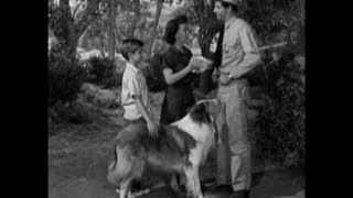 Lassie  Episode 36  quotThe Rivalquot Season 2 10  11131955 [upl. by Elsa]