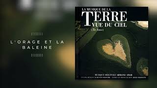 La Terre Vue du Ciel  Original Soundtrack by Armand Amar FULL ALBUM [upl. by Tidwell]