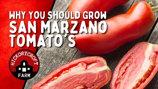 Why You Should Add San Marzano Tomato To Your Garden For Heavy Fruit Production For The Pantry [upl. by Sirob]