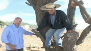 Man survives tsunami in tree [upl. by Strade]