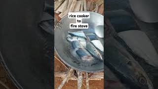 fire stove rice cooker shorts cooking [upl. by Currier756]