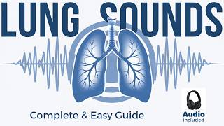 Lung Sounds  Breath sounds Types amp Causes Remastered [upl. by Akeylah]