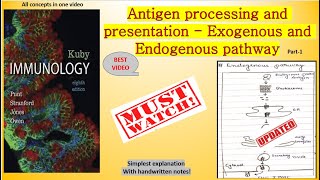 Antigen processing and presentation Exogenous and Endogenous pathway immunology csirnet [upl. by Shantee]