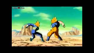 Dragonball Z Goku and Vegeta Tribute  Hero [upl. by Diahann]