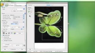 Scanning using the Epson Software [upl. by Maighdiln301]