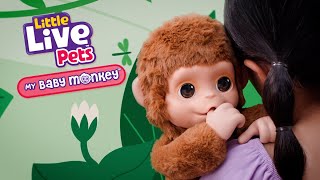 LITTLE LIVE PETS I MY BABY MONKEY TVC I 30 [upl. by Ylremik]