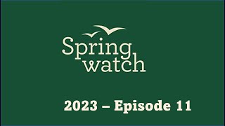 Springwatch 2023 Episode 11 [upl. by Ynamad]