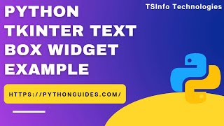 Python Tkinter Text Box Widget Example  Text Box Widget in Python Tkinter [upl. by Aynotahs]