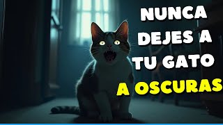 Nunca Dejes A Tu Gato A Oscuras [upl. by Eelatsyrc]