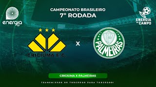 CRICIUMA X PALMEIRAS  02062024  BRASILEIRÃO  AO VIVO [upl. by Aicinet]