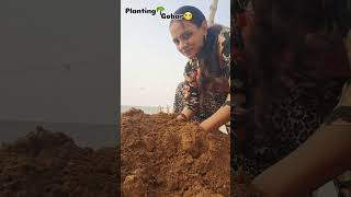 Planting🪴Gobar se allergy🥲foryou trendingshorts viralshort ytshorts minivlog [upl. by Bren]