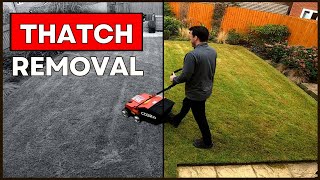 DIY Scarify amp Lawn Dethatch Timelapse [upl. by Aniryt]