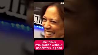 Kamala Border Czar Song How Bizarre song turned into Trump tune against Kamala [upl. by Ynohtnad]