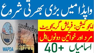 water and power development authority jobs  Wapda jobs 2024  Lahore Electric Supply Company jobs [upl. by Nodababus]