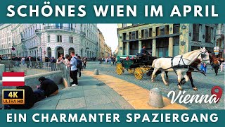 Österreich Wien  Spaziergang im Frühling  4K Rundgang in der Wiener Innenstadt 2024 [upl. by Ilanos]