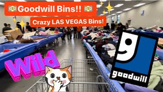 Let’s GO to the LAS VEGAS Goodwill Bins It Was Pure Chaos Let’s Dig To Find Treasure [upl. by Lancey]