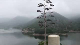 Morris reservoir Naval testing facility and American bald eagles [upl. by Nnaul]