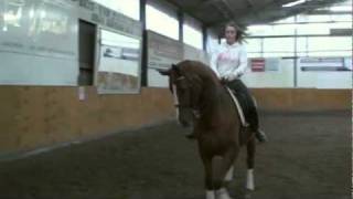 Reiten als Gesundheitssport [upl. by Flagler]