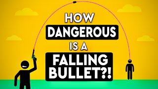 How Dangerous Is A Bullet Shot In The Air DEBUNKED [upl. by Alaunnoif502]