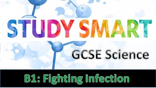 B1 Fighting Infection EDEXCEL [upl. by Atikehs]