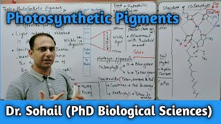 Photosynthetic Pigments  Structure of Chlorophyll  Accessory Pigments  11th Biology [upl. by Nellad351]