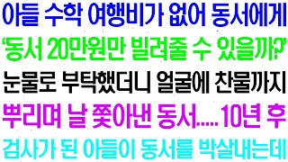 아들 수학 여행비가 없어 동서에게 부탁했더니 찬물까지 뿌리며 쫓아내는데 20년 후 검사가 된 아들이 동서 집안을 박살내는데 라디오사연 썰사연 사이다사연 감동사연 [upl. by Colwin897]