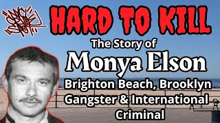 Monya Elson  Brighton Beach Brooklyn Gangster amp International Criminal [upl. by Eixel]