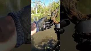 GUN MAGNET FISHING at Mud Creek in Savona New York Pruyne Prine Time Magnet Fishing BEAST MAGNET [upl. by Goldberg853]