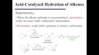 AcidCatalyzed Hydration of Alkenes [upl. by Antin]