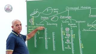 CHROMOSOMAL MUTATIONPARTSECOND [upl. by Yecal]