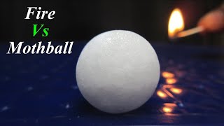 Experiment With Naphthalene Balls  Easy Science Experiment [upl. by Meldon439]