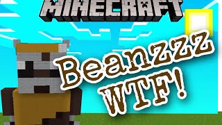 Beans WTF Minecraft [upl. by Marylinda]