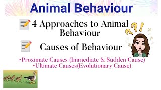 4 Approaches of Animal Behaviour Causes of Behaviour  Proximate Cause amp Ultimate Cause  Ethology [upl. by Tisdale]