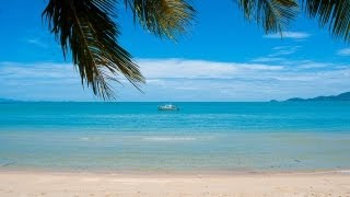 Best of Koh Samui Thailand top sights [upl. by Von]