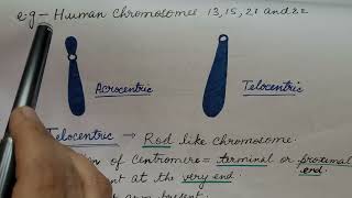 Types of Chromosome In HINDI For CSIR NET and NEET [upl. by Danaher]