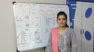 APPLIED PHYSIOLOGY OF SPINAL CORD  BROWN SEQUARD SYNDROME  PART9 [upl. by Guild622]