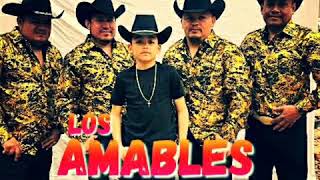 LOS AMABLES DE TAMPS EL NORTEADO [upl. by Hannah]