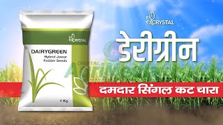 Crystal Dairy Green fodder Jowar Seed Voice over Advertisement [upl. by Leirej270]