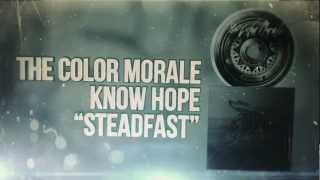 The Color Morale  Steadfast [upl. by Sacken340]