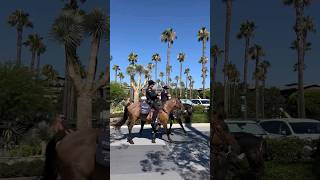 Mounted Police in America [upl. by Elga]