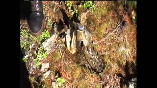 Bigfoot filmed at Bluff Creek 2008The Story of How We Got this Important Footage [upl. by Tade]