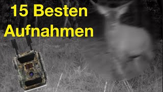 Die 15 besten Wildkamera Aufnahmen 2020 aus Revier und Umgebung  Hunting Ground Belgium [upl. by Stovall125]