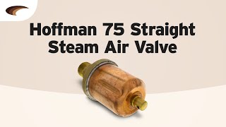 Hoffman 75 Straight Steam Air Valve [upl. by Annayd43]