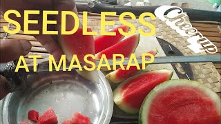 Seedless Water Melon  MASARAP [upl. by Drue731]